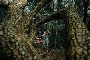 BIB: 
                            <button type="button" onclick="openModal(25703938)" class="btn btn-primary btn-sm float-right btn-popup" data-toggle="modal" data-target=".modal-high-quality">
                        <i class="fas fa-shopping-cart"></i> Add to Cart
                    </button>
                                            <button type="button" onclick="isThisMe(25703938, true)" class="btn btn-success btn-sm float-right btn-popup btn-isme hidden" data-toggle="tooltip" data-placement="bottom" title="นี่คือรูปของคุณใช่ไหม คลิกที่นี่เพื่อเอาเข้าอัลบั้ม">
                        <i class="fas fa-plus"></i> Add to album
                    </button>
                    <button type="button" onclick="isThisMe(25703938, false)" class="btn btn-warning btn-sm float-right btn-popup btn-isnotme hidden">
                        <i class="fas fa-ban"></i> Remove from album
                    </button>